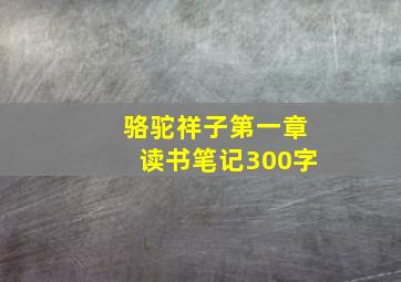 骆驼祥子第一章读书笔记300字