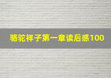 骆驼祥子第一章读后感100