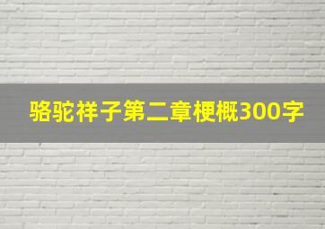 骆驼祥子第二章梗概300字