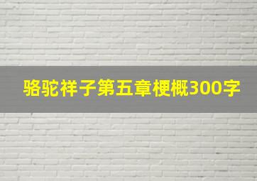 骆驼祥子第五章梗概300字