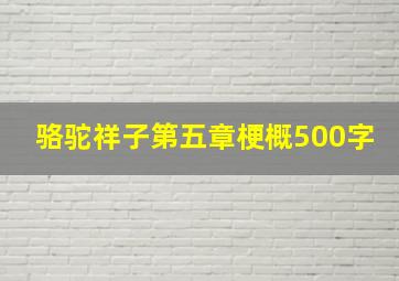 骆驼祥子第五章梗概500字