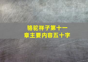 骆驼祥子第十一章主要内容五十字