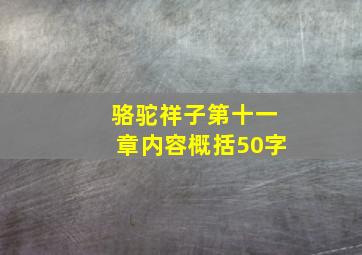 骆驼祥子第十一章内容概括50字