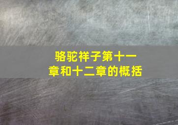 骆驼祥子第十一章和十二章的概括