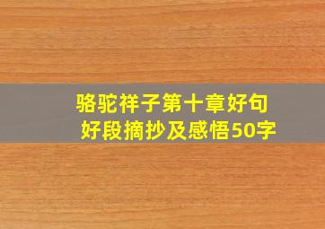 骆驼祥子第十章好句好段摘抄及感悟50字