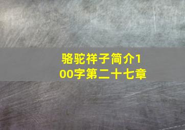 骆驼祥子简介100字第二十七章