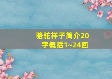 骆驼祥子简介20字概括1~24回