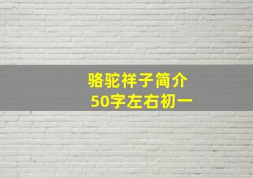 骆驼祥子简介50字左右初一