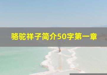 骆驼祥子简介50字第一章