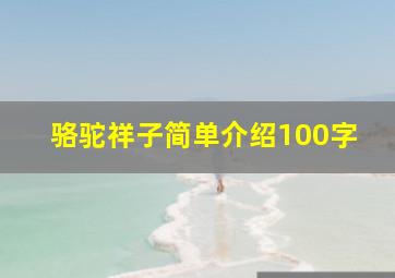 骆驼祥子简单介绍100字