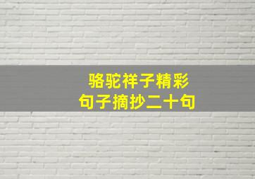 骆驼祥子精彩句子摘抄二十句