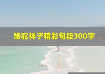 骆驼祥子精彩句段300字