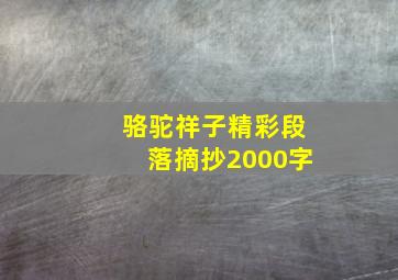 骆驼祥子精彩段落摘抄2000字