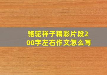 骆驼祥子精彩片段200字左右作文怎么写