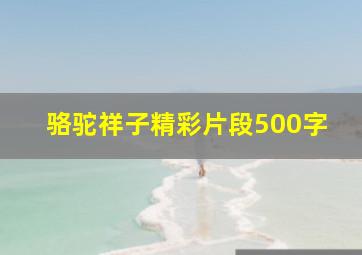 骆驼祥子精彩片段500字