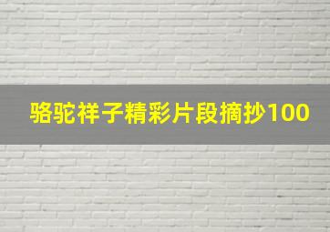 骆驼祥子精彩片段摘抄100