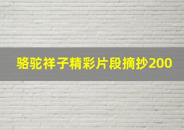 骆驼祥子精彩片段摘抄200