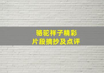 骆驼祥子精彩片段摘抄及点评