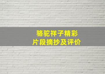 骆驼祥子精彩片段摘抄及评价