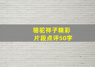 骆驼祥子精彩片段点评50字