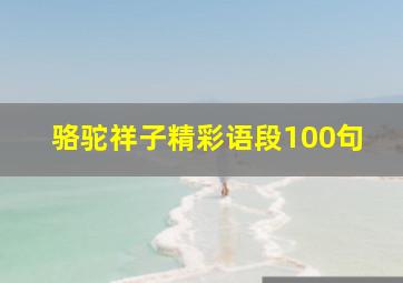 骆驼祥子精彩语段100句