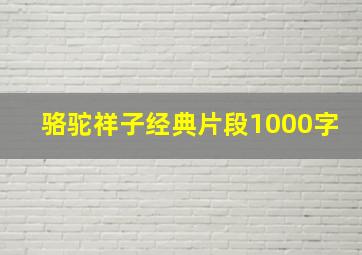 骆驼祥子经典片段1000字