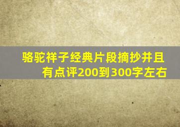 骆驼祥子经典片段摘抄并且有点评200到300字左右