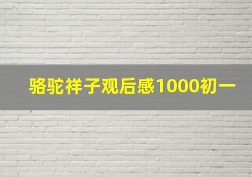 骆驼祥子观后感1000初一