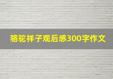 骆驼祥子观后感300字作文