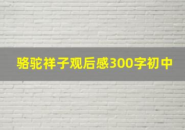 骆驼祥子观后感300字初中