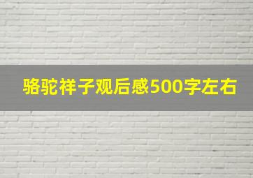 骆驼祥子观后感500字左右