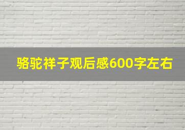 骆驼祥子观后感600字左右