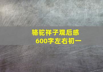 骆驼祥子观后感600字左右初一