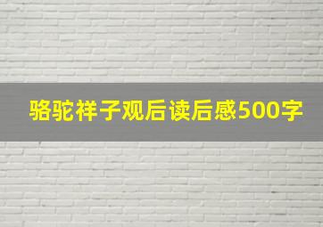 骆驼祥子观后读后感500字