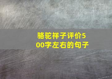 骆驼祥子评价500字左右的句子