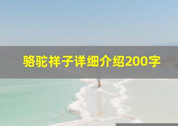 骆驼祥子详细介绍200字