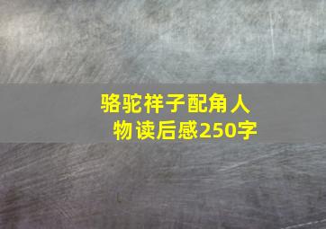 骆驼祥子配角人物读后感250字