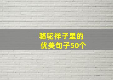 骆驼祥子里的优美句子50个