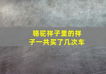 骆驼祥子里的祥子一共买了几次车