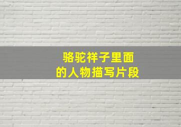 骆驼祥子里面的人物描写片段