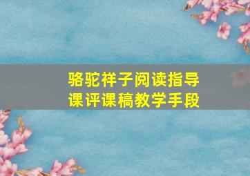 骆驼祥子阅读指导课评课稿教学手段