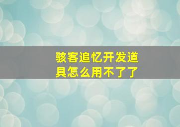 骇客追忆开发道具怎么用不了了