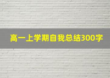 高一上学期自我总结300字