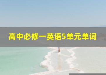 高中必修一英语5单元单词