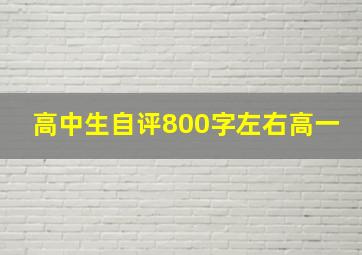 高中生自评800字左右高一