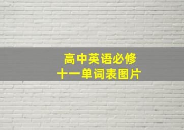 高中英语必修十一单词表图片