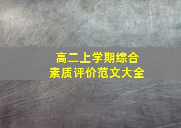 高二上学期综合素质评价范文大全