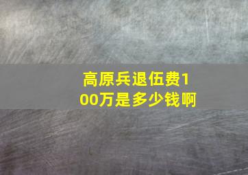 高原兵退伍费100万是多少钱啊