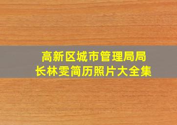 高新区城市管理局局长林雯简历照片大全集