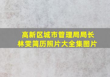 高新区城市管理局局长林雯简历照片大全集图片